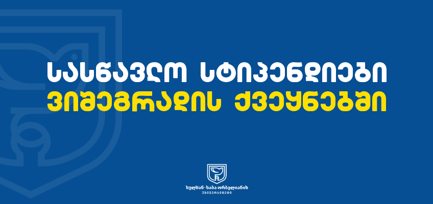 სასწავლო სტიპენდიები ვიშეგრადის ქვეყნებში 